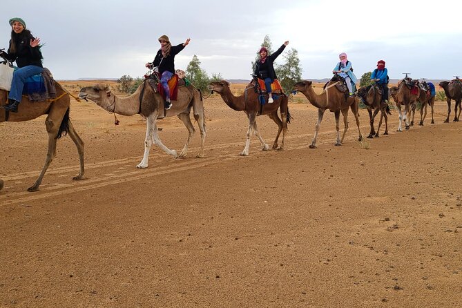 Overnight Camel trek in Merzouga dunes - Sleeping in a Berber tent under the stars