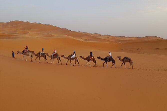 Overnight Camel trek in Merzouga dunes - Sunrise, breakfast, and the return to Merzouga