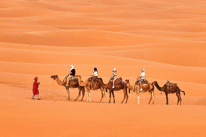 Overnight Camp Camel Trekking In Merzouga - Choosing between standard and luxury camp