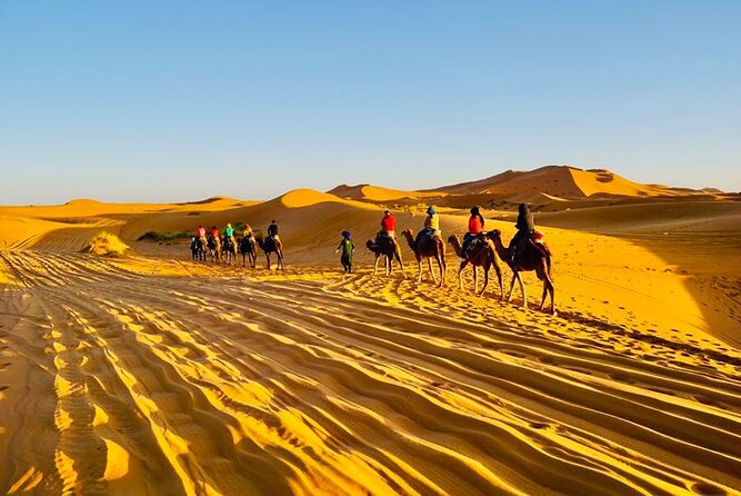Overnight Camping in Merzouga Desert - Food, hospitality, and what to confirm