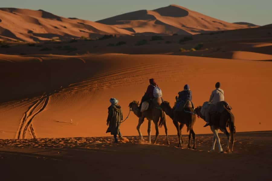 Overnight in Luxury Tent in Desert Camp Erg Chebbi Merzouga - Is $117 good value?