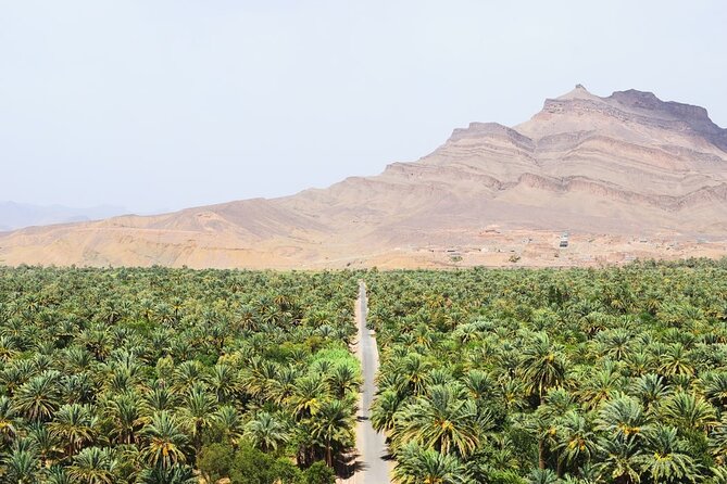 Overnight Sahara Tour from Marrakech to Mhamid - Through the Draa Valley and Its Palm Groves