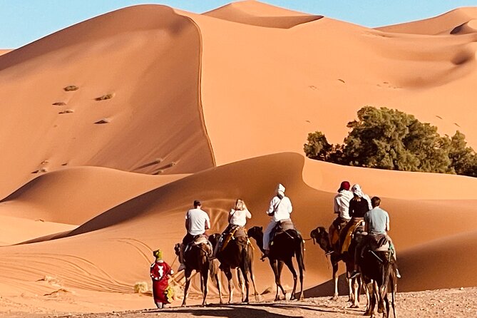 Overnight stay in desert camp & Camel trekking in the Sahara - Riding Into Erg Chebbi From Merzouga