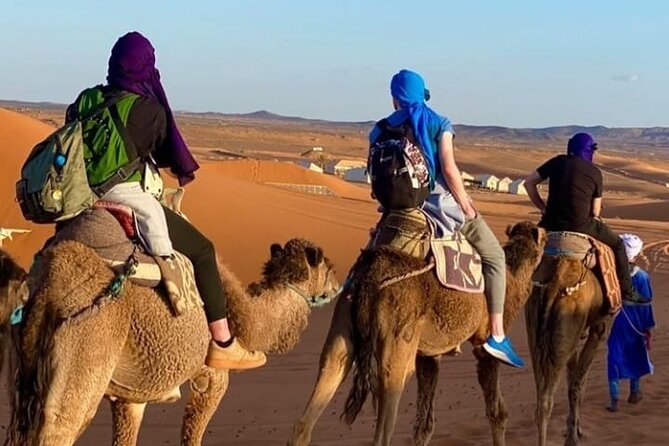 Overnight stay in desert camp & Camel trekking in the Sahara - Sunset From the High Dunes