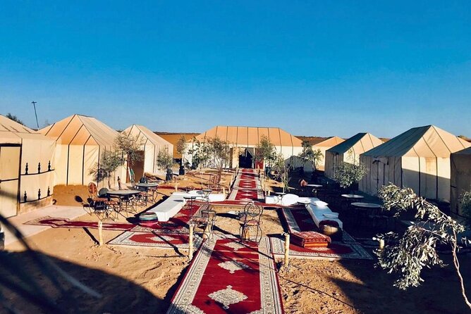 Overnight stay in desert camp & Camel trekking in the Sahara - What $69.79 Really Gets You