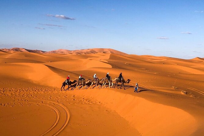 Overnight stay in desert camp & Camel trekking in the Sahara - Practical Tips for a Smoother Night