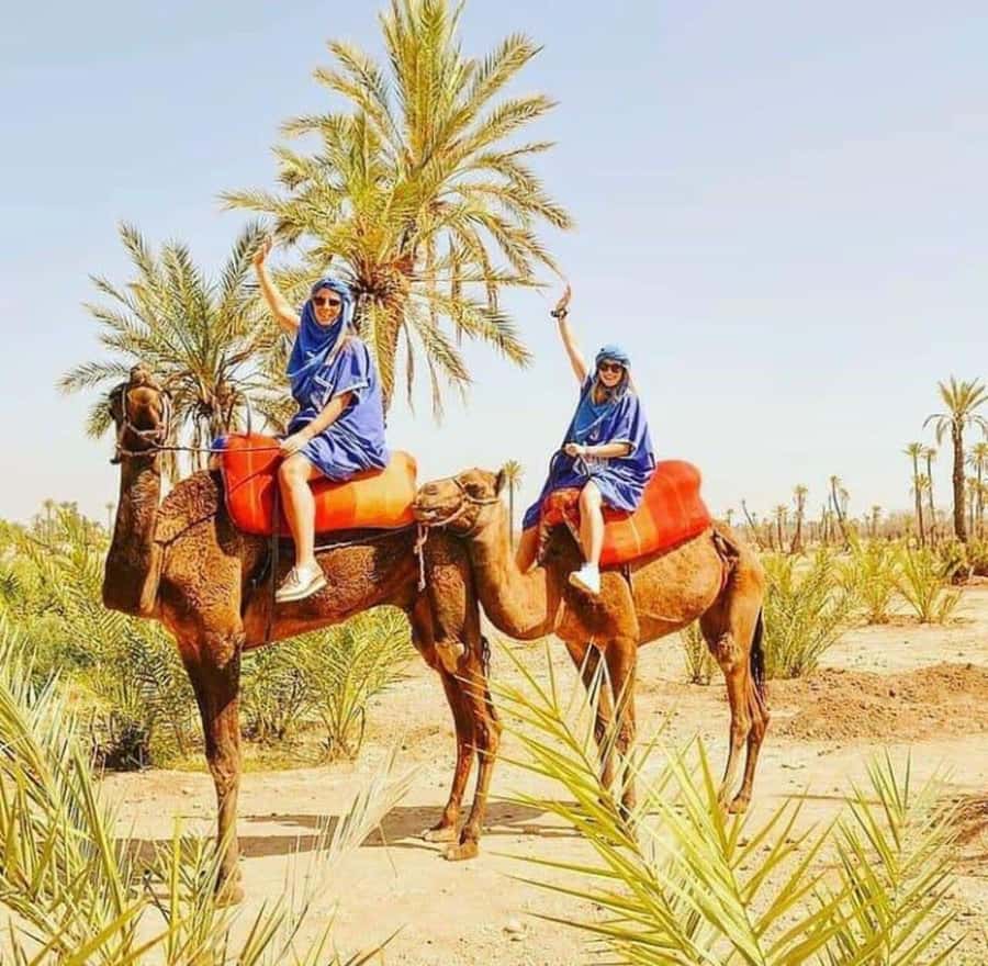 Palmeraie Marrakech Camel Ride & Quad Bike Package Exprience - Key points at a glance