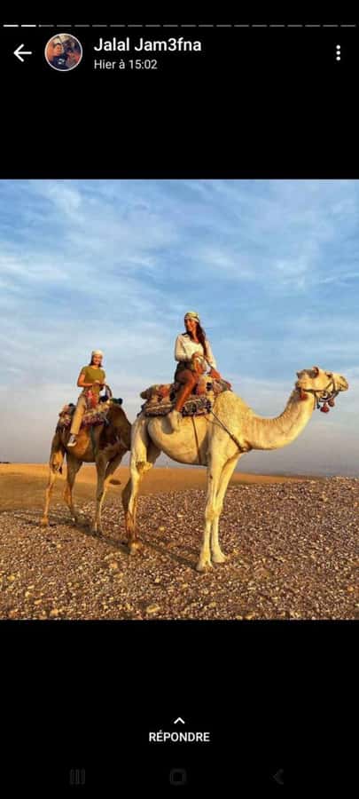 Palmeraie Marrakech Camel Ride & Quad Bike Package Exprience - What the Palmeraie adds to a Marrakesh day
