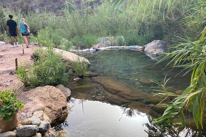 Paradise Valley and Atlas Mountains Adventure in Agadir - Mint tea, honey, and local products