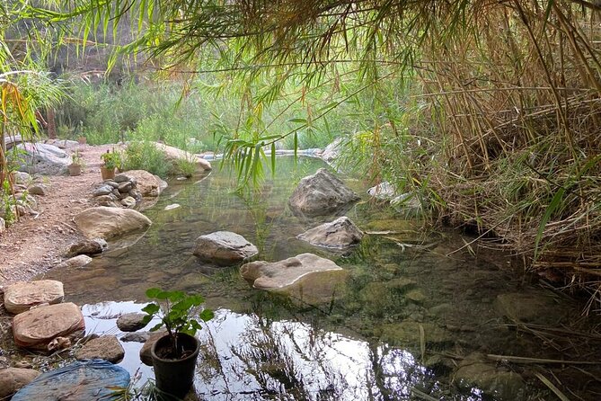 Paradise Valley and Atlas Mountains Adventure in Agadir - How good is the guide?