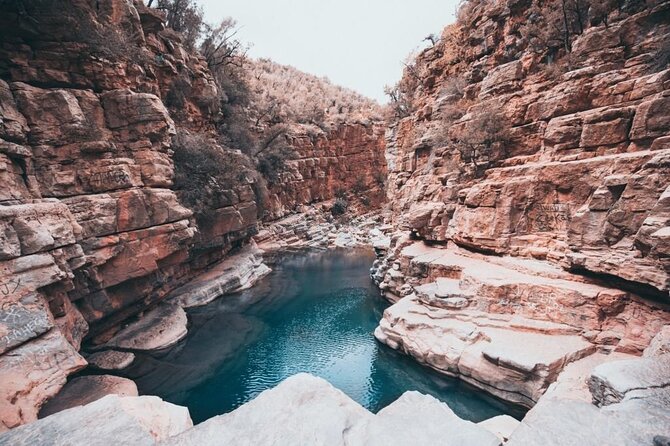Paradise Valley & Atlas Mountains Adventure with optional LUNCH - Key points before you book