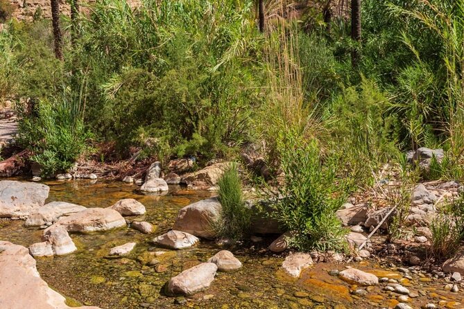 Paradise Valley & Atlas Mountains Adventure with optional LUNCH - Who should take this half-day outing?
