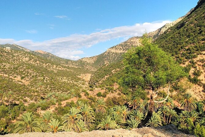 Paradise Valley & Atlas Mountains Adventure with optional LUNCH - The argan oil and botanical garden stops