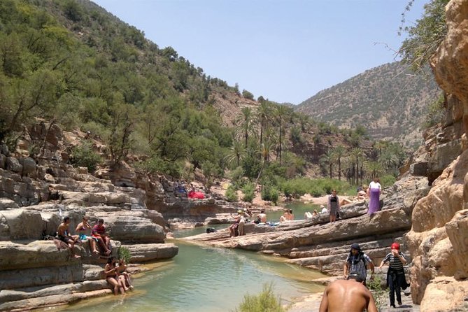 Paradise valley excursion - A botanical garden and scenic viewpoint