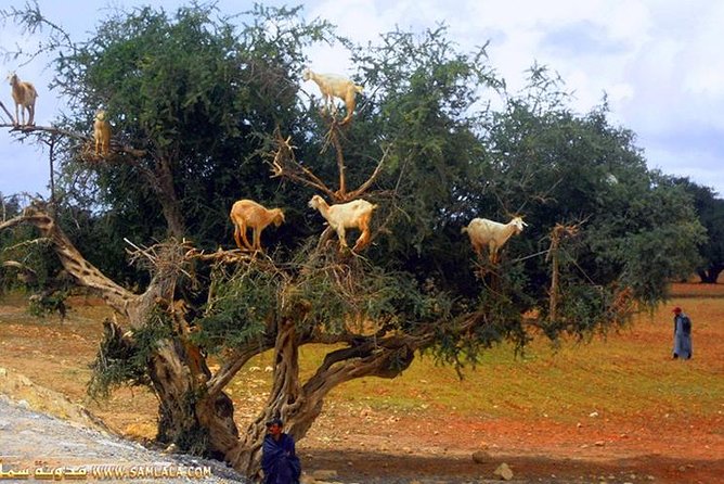 Paradise valley excursion - Guides, drivers, and the value of a small group