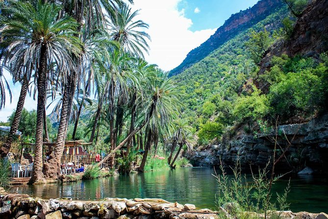 Paradise Valley & The Old Taghazout village Private Tour - The road north through banana country