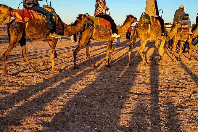 Premium Agafay Desert: Camel, Quad, Dinner & Fire Show - A Slower Camel Ride at Sunset