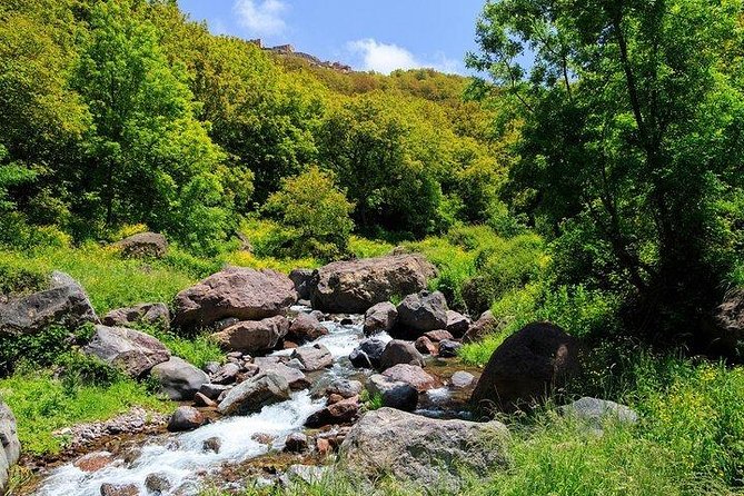 Premium Atlas Mountains & Berber Village Day Trip with Camel Ride - Why this Atlas Mountains trip works