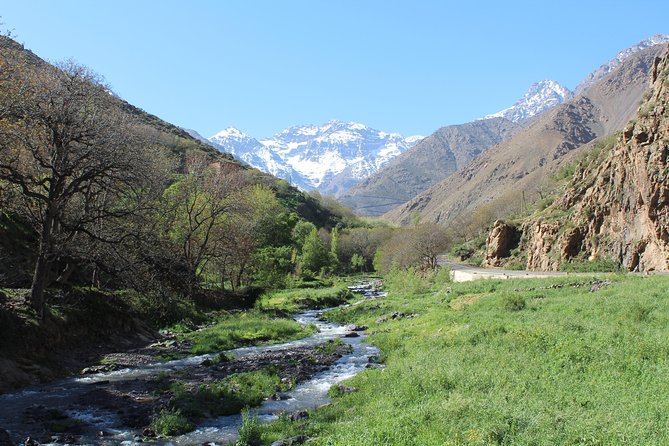 Premium Atlas Mountains & Berber Village Day Trip with Camel Ride - Value at $16.28 per person