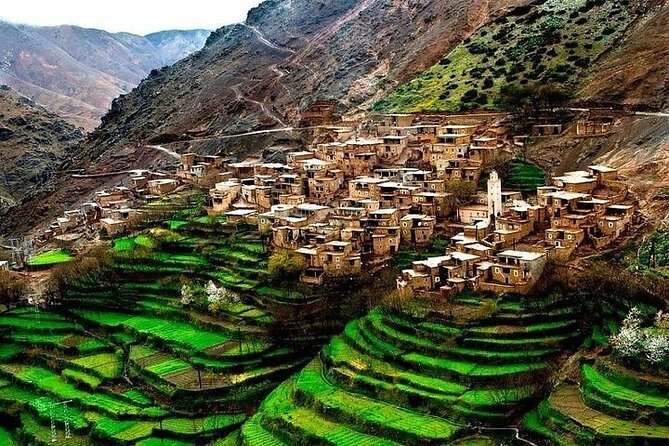 Premium Atlas Mountains & Berber Village Day Trip with Camel Ride - Who should book this day trip?