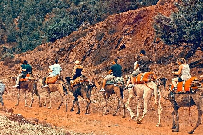 Premium Atlas Mountains & Berber Village Day Trip with Camel Ride - Imlil brings the best mountain scenery