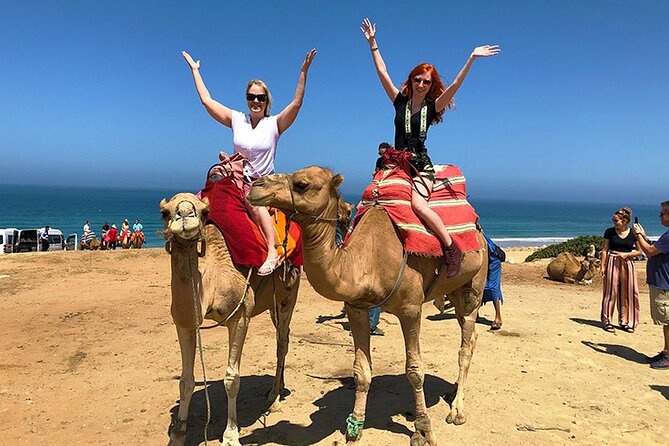 Private 4-Hour Tangier Tour - What the four-hour Tangier tour is really like