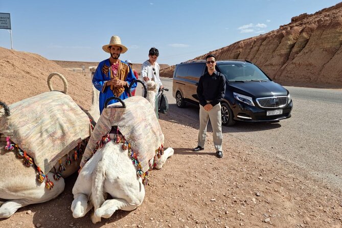 Private Ait Ben Haddou Tour with Road of the Kasbahs from Marrakech - Is $149 per person good value?
