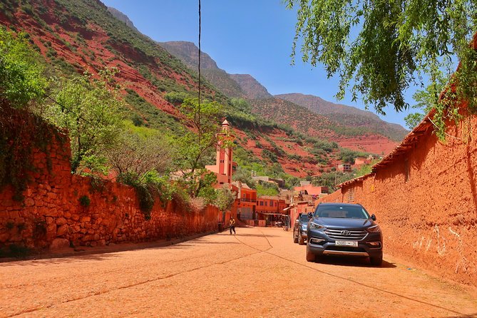 Private Atlas Mountains Day Trip - Pottery, argan oil, and carpet stops