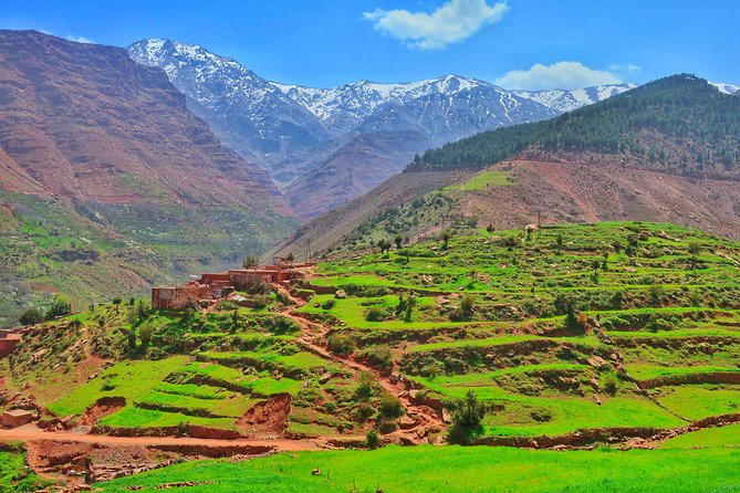 Private Atlas Mountains Day Trip - Who will enjoy this day most