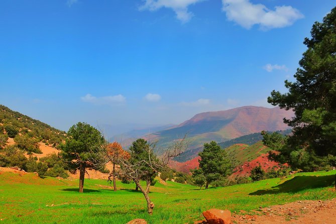 Private Atlas Mountains Day Trip - Practical tips for a better day