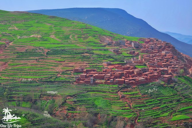 Private Atlas Mountains Day Trip - Should you book the Atlas Mountains day trip?