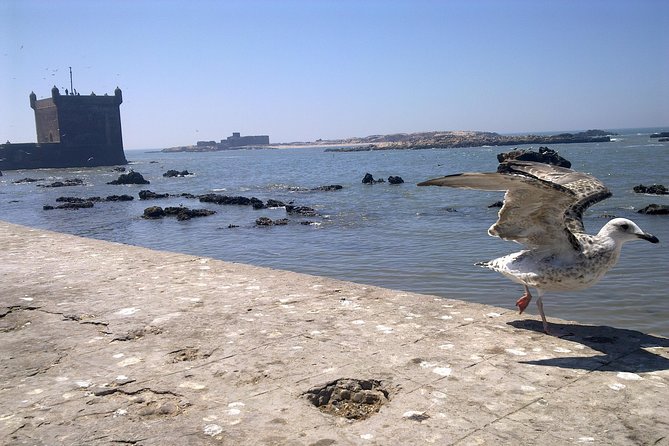 Private Day Trip from Marrakech to Essaouira City - Entering Essaouira’s medina with a local guide