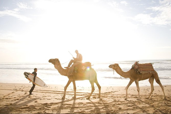 Private Day Trip from Marrakech to Essaouira City - What $139.58 per person really buys