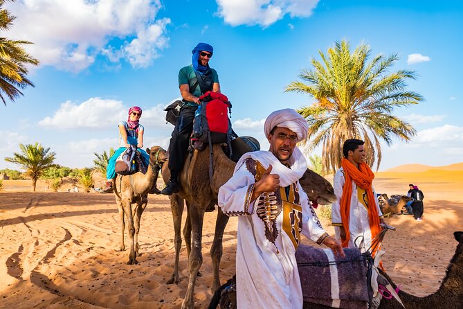 Private Driver for a full day in Marrakech - A possible Atlas Mountains day