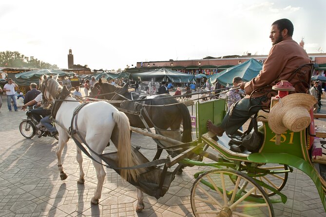 Private Driver for a full day in Marrakech - An eight-hour route you can shape yourself