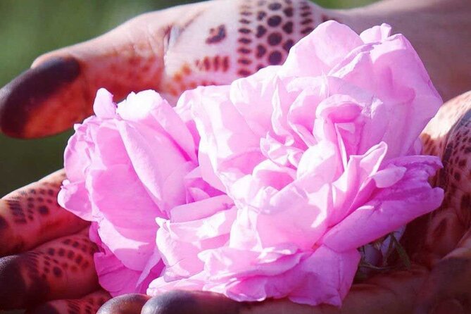 Private Excursion from Ouarzazate to Gorges Dades, Valley of Roses and Skoura - Why this route makes sense from Ouarzazate