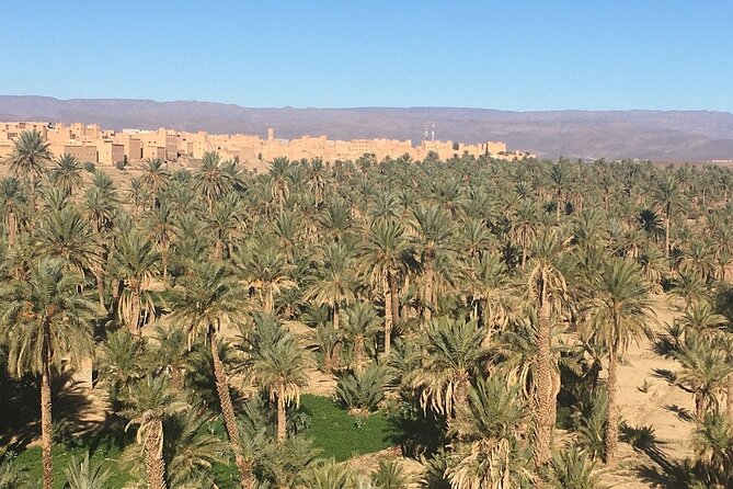 Private Excursion from Ouarzazate to Gorges Dades, Valley of Roses and Skoura - The road through the Valley of Roses