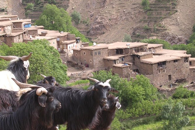 Private Guided Atlas Day Tour from Marrakech with lunch in a Berber family home - Key points to know before you book