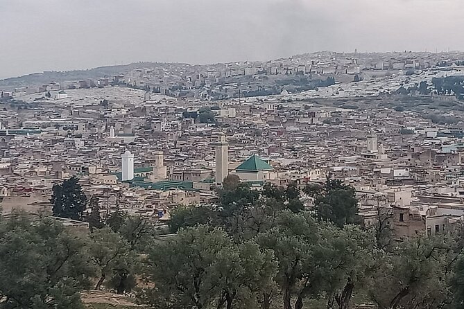 Private Guided Tour in Fez Medina - Nejjarine and the woodworkers’ quarter