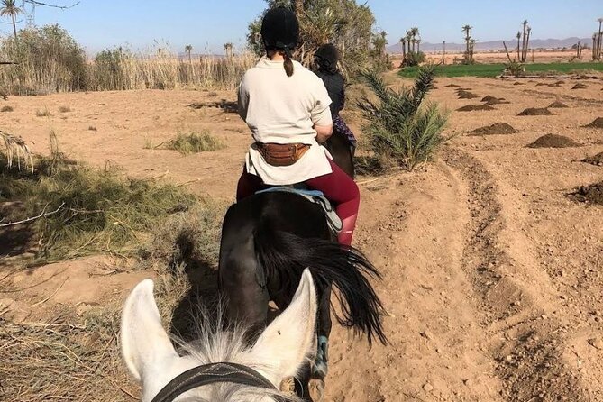 Private horseback ride in the Palmeraie of Marrakech - Safety, comfort, and the weather question