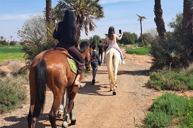 Private horseback ride in the Palmeraie of Marrakech - Meeting the horses and preparing to ride