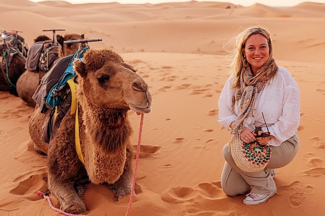 Private Luxury Tents ,Camel ride and Sandboard in Merzouga Desert - Key Points Before You Book