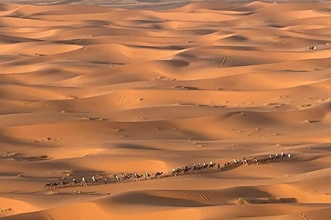 Private Luxury Tents ,Camel ride and Sandboard in Merzouga Desert - Private Tents With the Comfort You Actually Notice