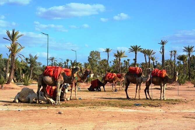 Private Marrakech Day Trip from Casablanca with Free Camel Ride - Koutoubia Mosque and Marrakech’s main landmark