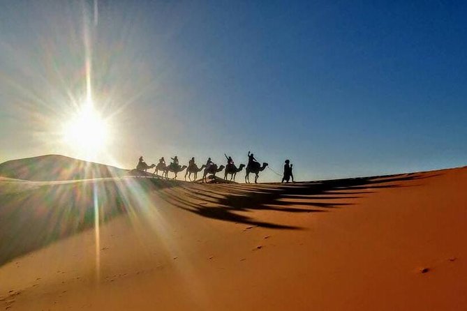Private Sahara Discovery Tour from Marrakech to Fez in 4WD - Day four: Ziz Valley, cedar forests, and Fez