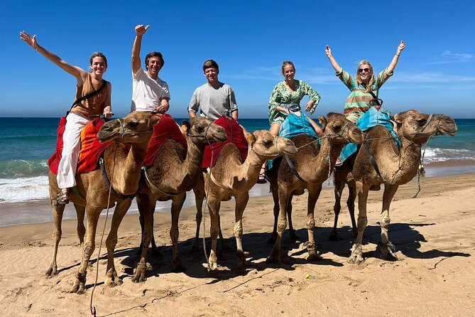 Private Tangier Tour from Ferry or Cruise Ship Including Lunch - Camels and open sand at Achakkar Beach
