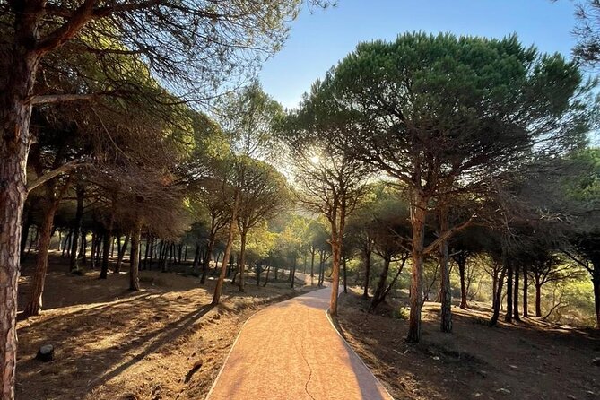 Private Tangier Tour from Ferry or Cruise Ship Including Lunch - A short stop at Mendoubia Garden