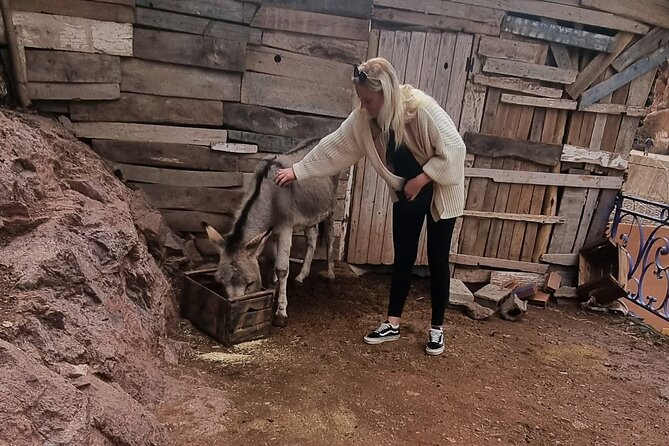 Private Tour in Atlas Mountain and 3 Valleys with Camel Ride - Why this private mountain day works