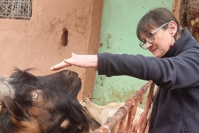 Private Tour in Atlas Mountain and 3 Valleys with Camel Ride - Sidi Fares and Berber traditions
