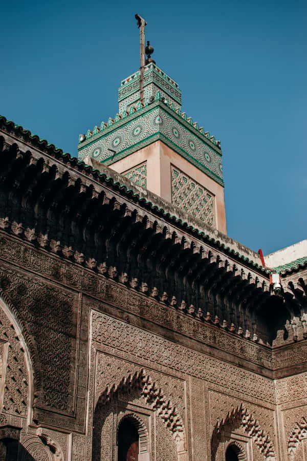 Private Tour –In Old Medina of Fez with a Professional Guide - The tanneries and Fez’s leather tradition
